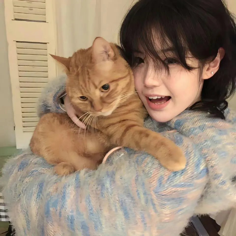 花牌情缘第二季